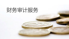 財(cái)務(wù)金融審計(jì)
