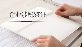 企業(yè)涉稅鑒證