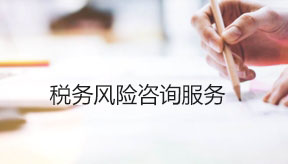 稅務(wù)風(fēng)險咨詢服務(wù)