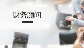 財(cái)務(wù)顧問